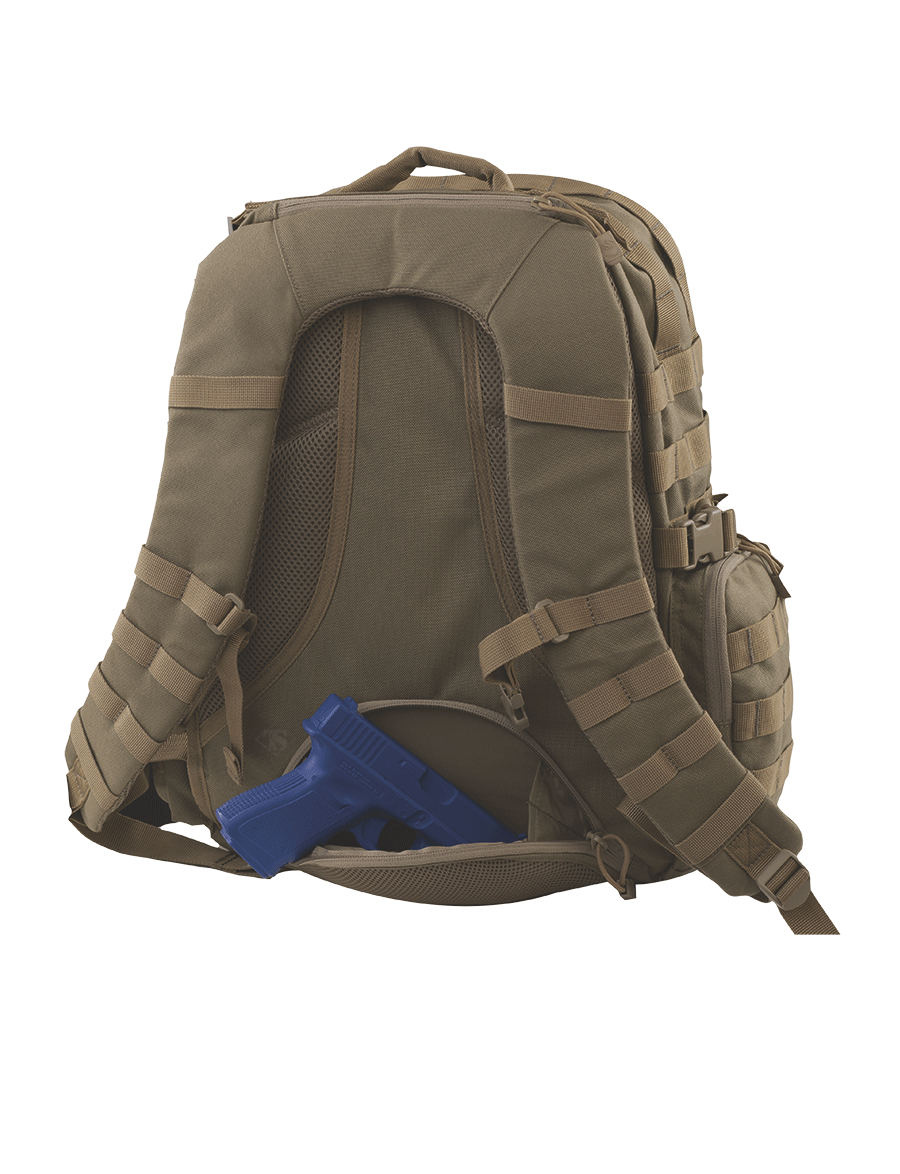 Pathfinder 2.5 Backpack
